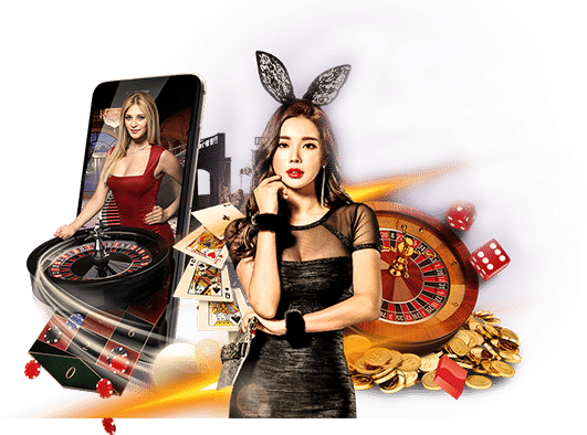 ทางเข้า NOBI168 กำไรดี